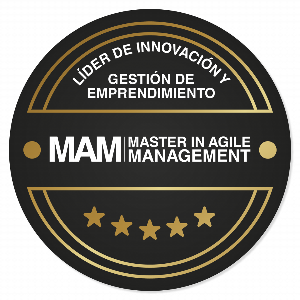 Insignia-Master-en-agilidad