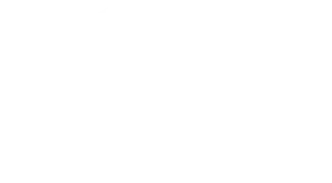 Logo Diego Ochoa b